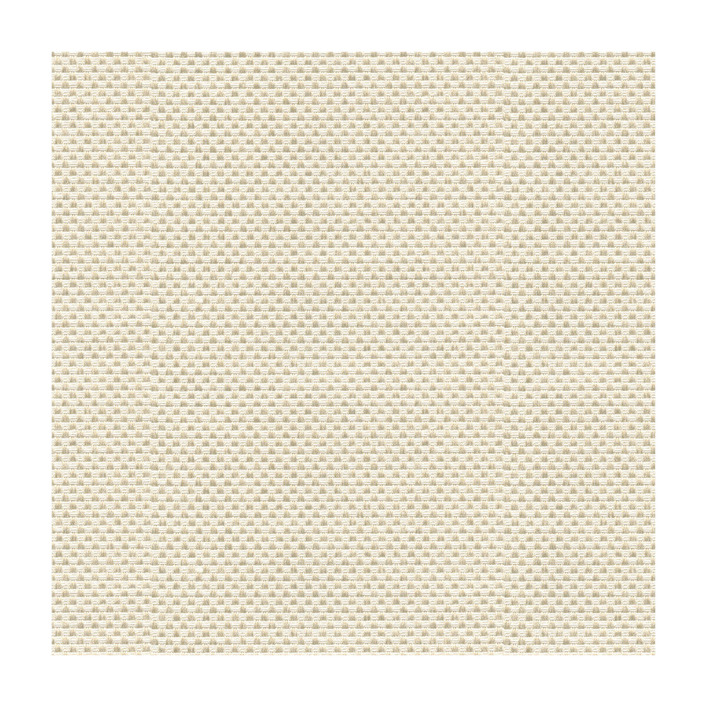Sener Ivory by Kravet Design Designer Fabric CONSTANTINOPLE POLYESTER - 76%;COTTON - 24% Turkey HEAVY Horizontal: and Vertical: 55 - Swanky Fabrics -