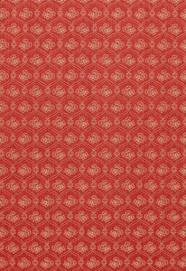 Ashley Lattice Coral 3390043 by Schumacher Designer Fabric