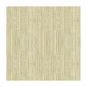 St Anton Strie Aurora by Kravet Couture Designer Fabric