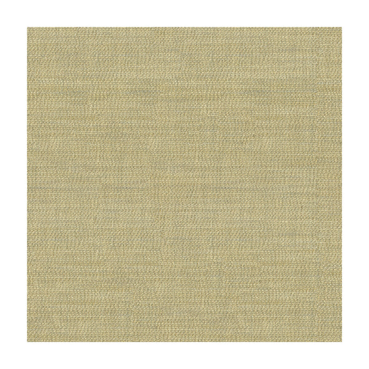 Kravet Couture 34014-16 by Kravet Couture Fabric Kravet Couture Fabric Kravet Couture 34014-16Fabric VISCOSE - 65%;WOOL - 35% Italy </p><p>Repeat: H: , V: 55 - Fabric Carolina -