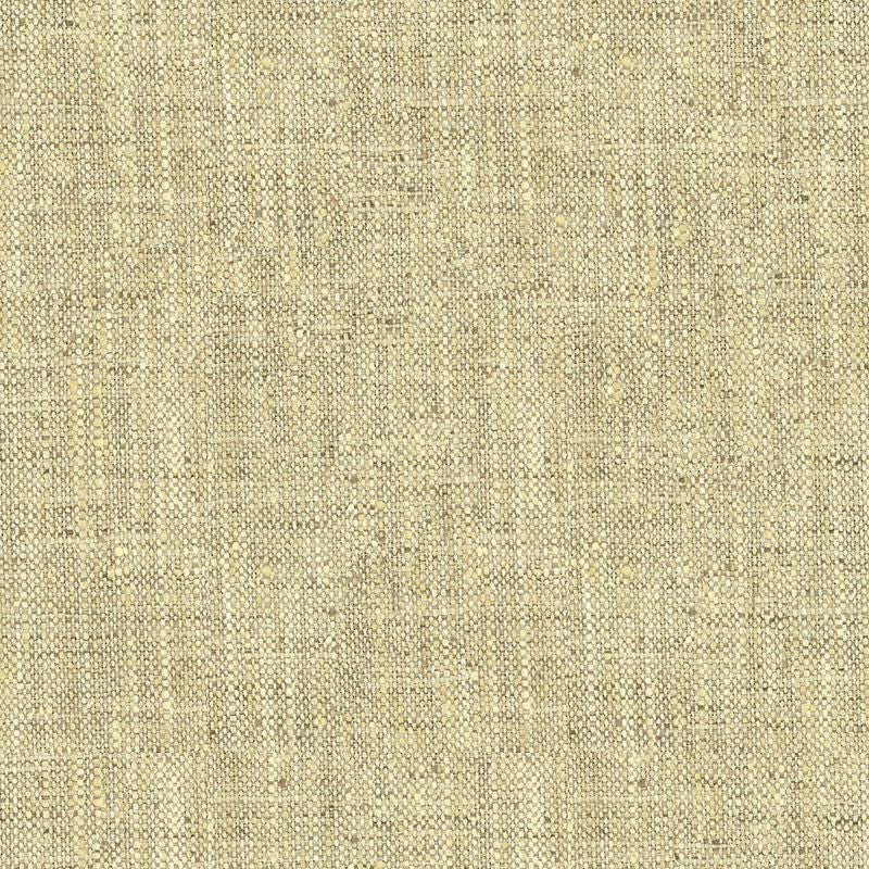 34083.1611 by Kravet Basics Designer Fabric our website for purchase Polyester 100% India Heavy Horizontal: see sample and Vertical: see sample 54 inches - Swanky Fabrics -