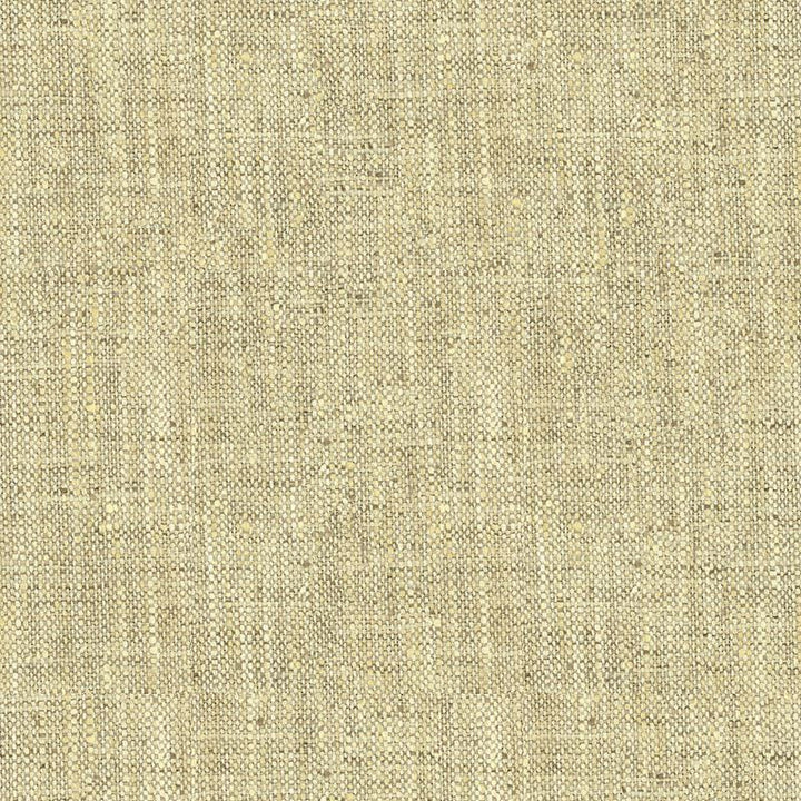 34083.1611 by Kravet Basics Designer Fabric in our sample Polyester 100% India Heavy Horizontal: See Sample and Vertical: See Sample 54 inches - Swanky Fabrics -