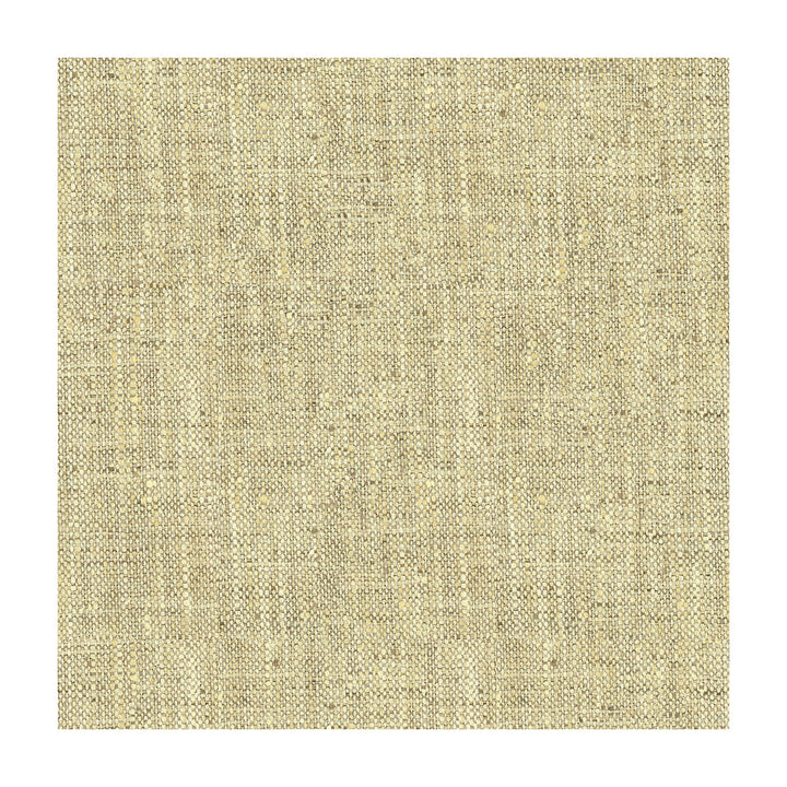 Kravet Basics 34083-1611 by Kravet Basics Fabric Kravet Basics Fabric Kravet Basics 34083-1611Fabric POLYESTER - 100% India </p><p>Repeat: H: , V: 54 - Fabric Carolina -