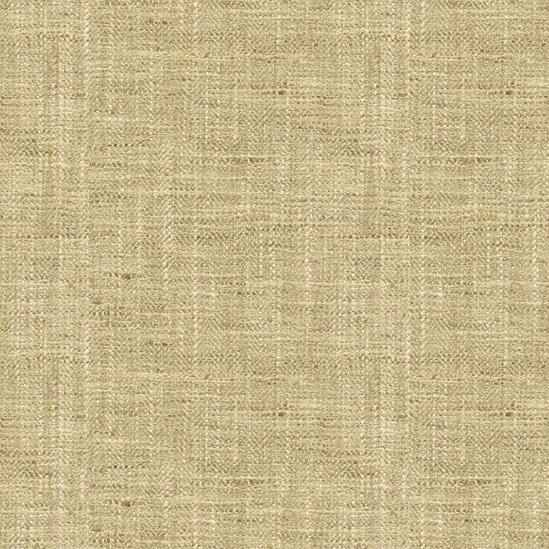 34088.616 by Kravet Basics Designer Fabric in our sample Polyester 100% India Heavy Horizontal: See Sample and Vertical: See Sample 54 inches - Swanky Fabrics -