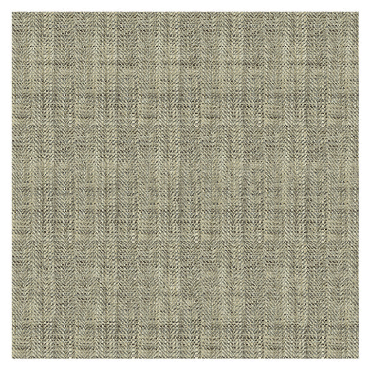 34088-1121 by Kravet Basics Designer Fabric POLYESTER - 100% India HEAVY Horizontal: and Vertical: 54 - Swanky Fabrics -