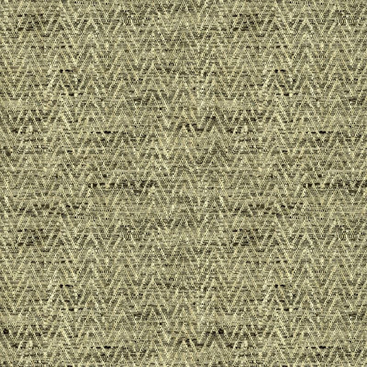 34092.1611 by Kravet Basics Designer Fabric our website for purchase Polyester 100% India Heavy Horizontal: see sample and Vertical: see sample 54 inches - Swanky Fabrics -