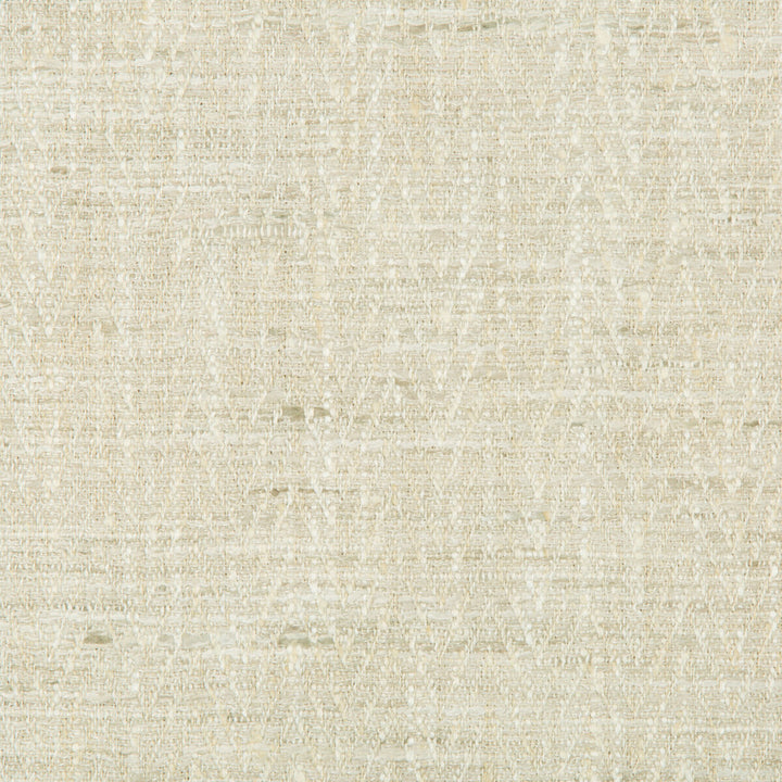 34092-111 by Kravet Basics Designer Fabric POLYESTER - 100% India HEAVY Horizontal: 0.75 and Vertical: 0.5 54 - Swanky Fabrics -