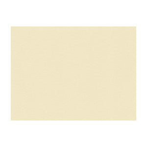 Suede Texture Bisque by Kravet Couture Designer Fabric