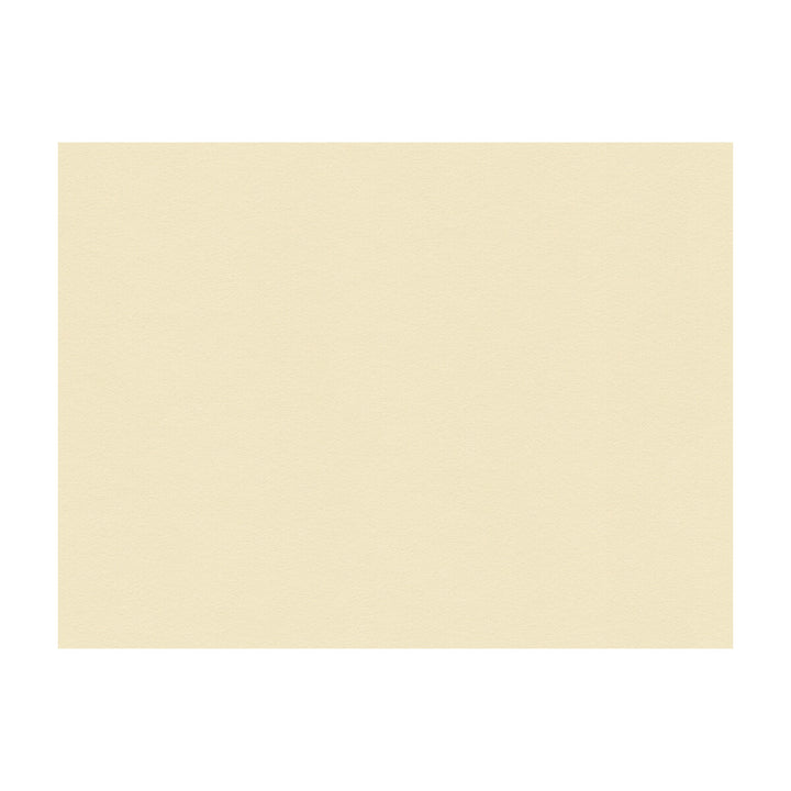 Suede Texture Bisque by Kravet Couture Designer Fabric JAN SHOWERS GLAMOROUS RECYCLED POLYESTER - 80%;POLYURETHANE - 20% Japan HEAVY Horizontal: and Vertical: 55 - Swanky Fabrics -