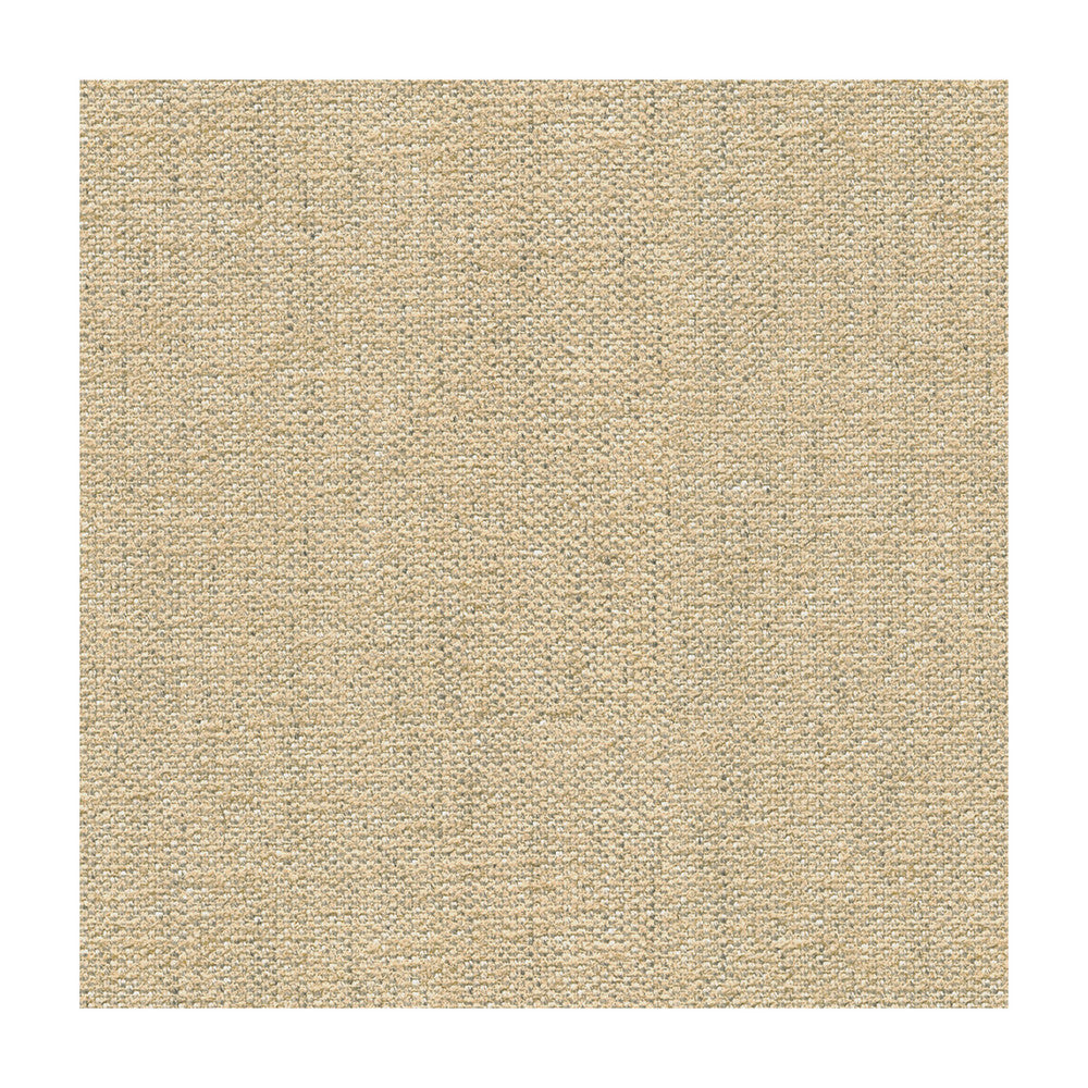 Briggs Linen by Kravet Design Designer Fabric CANDICE OLSON COLLECTION VISCOSE - 58%;POLYESTER - 30%;LINEN - 12% Italy MEDIUM Horizontal: and Vertical: 55 - Swanky Fabrics -