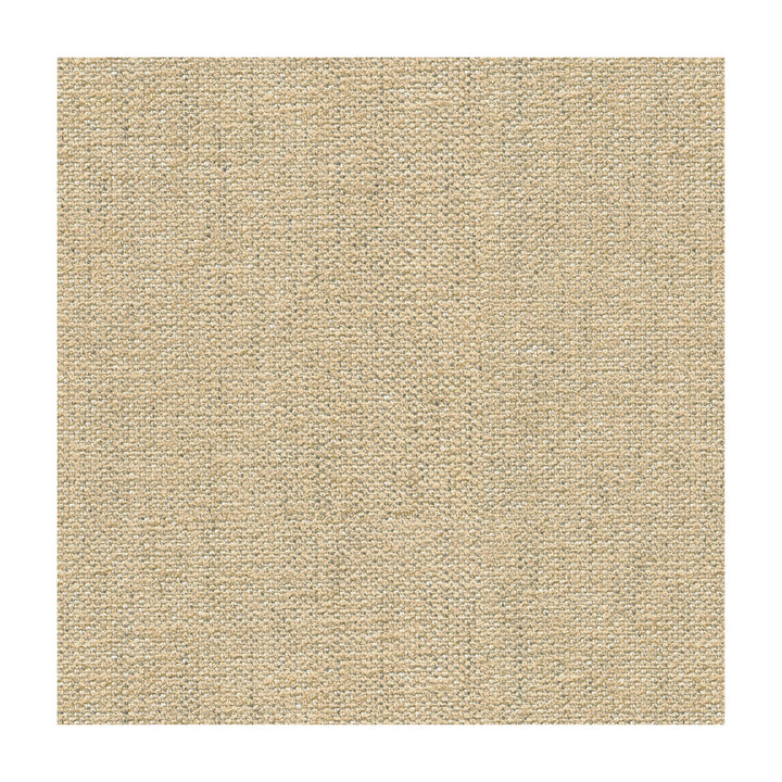 Briggs Linen by Kravet Design Designer Fabric CANDICE OLSON COLLECTION VISCOSE - 58%;POLYESTER - 30%;LINEN - 12% Italy MEDIUM Horizontal: - and Vertical: - 55 - Swanky Fabrics -