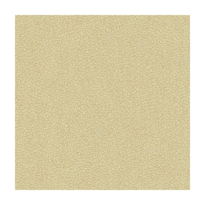 Jatoba Oyster by Kravet Design Designer Fabric CANDICE OLSON COLLECTION POLYESTER - 100% India HEAVY Horizontal: 4.5 and Vertical: 2.5 54 - Swanky Fabrics -