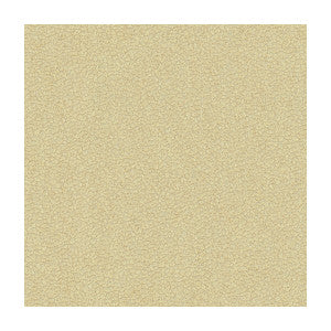Jatoba Oyster by Kravet Design Designer Fabric