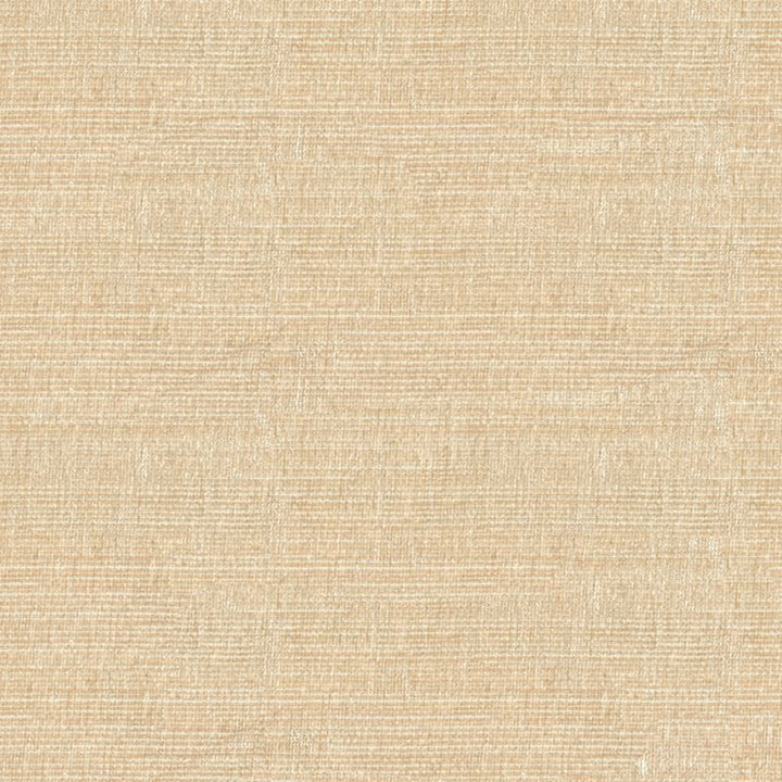 34191.1116 by Kravet Smart Designer Fabric in our sample Polyester 100% China Heavy Horizontal: See Sample and Vertical: See Sample 56 inches - Swanky Fabrics -