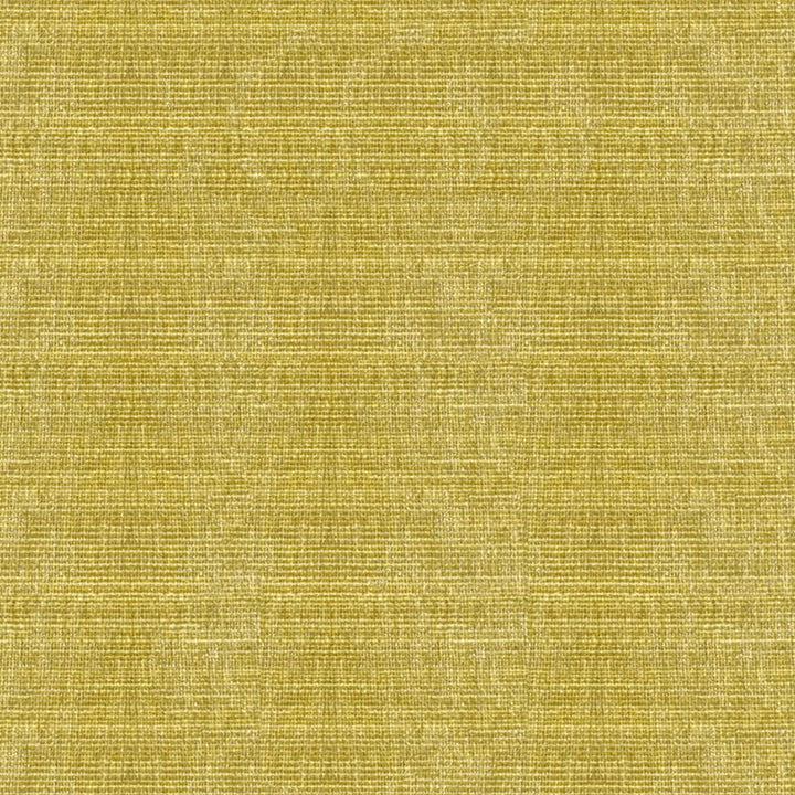 34191.303 by Kravet Smart Designer Fabric - Polyester 100% China Heavy H" -, V: - 56 inches  - Swanky Fabrics -  Kravet Smart