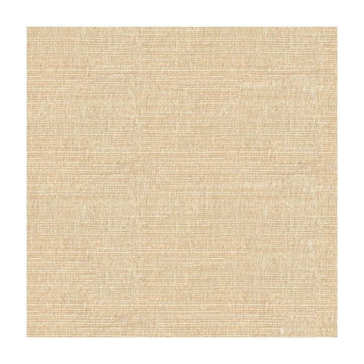 34191-1116 by Kravet Smart Designer Fabric POLYESTER - 100% China HEAVY Horizontal: and Vertical: 56 - Swanky Fabrics -