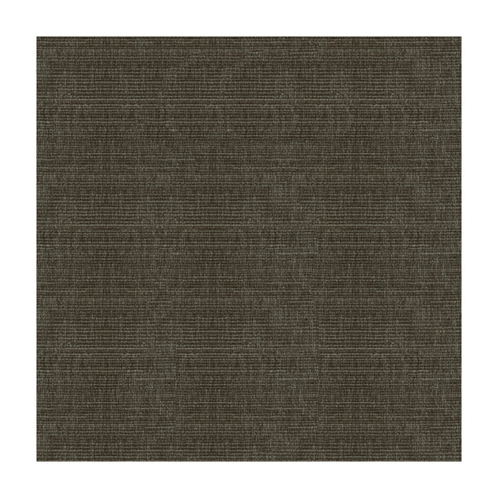 34191-811 by Kravet Smart Designer Fabric POLYESTER - 100% China HEAVY Horizontal: and Vertical: 56 - Swanky Fabrics -