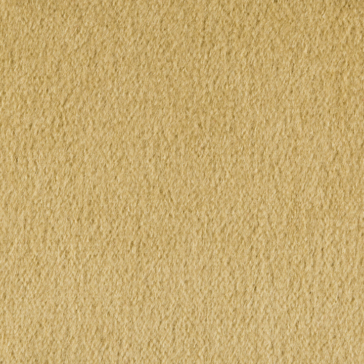 Plazzo Mohair Desert by Kravet Couture Designer Fabric MOHAIR - 100% Netherlands HEAVY Horizontal: and Vertical: 55 - Swanky Fabrics -