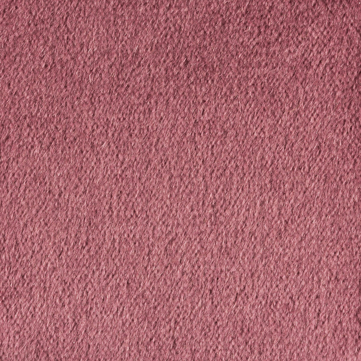 Plazzo Mohair Tulipwood by Kravet Couture Designer Fabric - MOHAIR - 100% Netherlands HEAVY Horizontal: - and Vertical: - 55 - Swanky Fabrics -