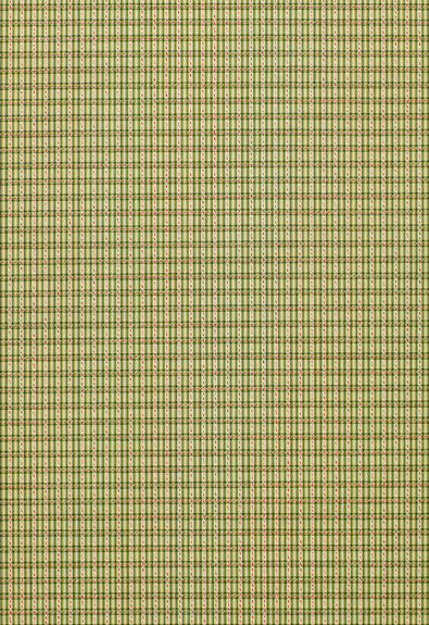 Henson Check Basil 3427001 by Schumacher Designer Fabric - 84% Cotton, 16% Viscose Martindale 8,000 Horizontal: 1 and Vertical: 3/4- 55 - Swanky Fabrics -
