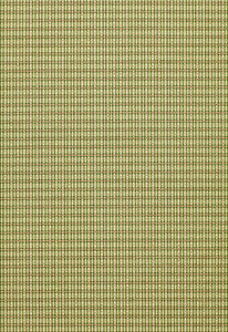 Henson Check Basil 3427001 by Schumacher Designer Fabric