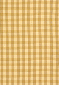 Inglebury Silk Check Coin 3439001 by Schumacher Designer Fabric
