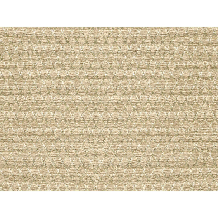 34475-116 by Kravet Smart Designer Fabric POLYESTER - 100% China HEAVY Horizontal: and Vertical: 54 - Swanky Fabrics -