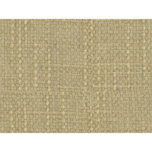 Conceptual Chardonnay by Kravet Couture Designer Fabric