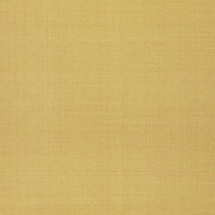Anniston Silk Taffeta Reed 3462003 by Schumacher Fabric Schumacher Fabric Anniston Silk Taffeta Reed 3462003Fabric SILK 100% CHINA </p><p>Repeat: H: , V: 54 - Fabric Carolina -