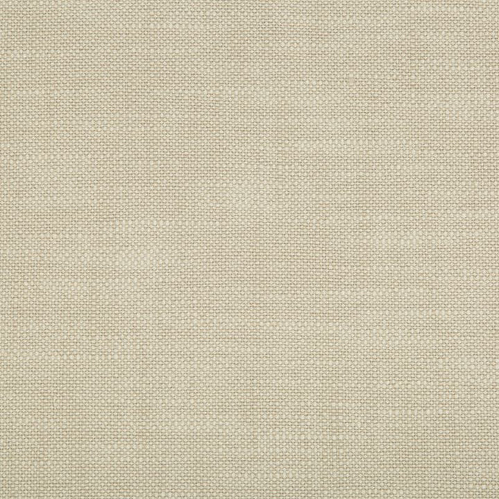 34623.1116 by Kravet Smart Designer Fabric Performance Crypton Home Polyester 100% USA Heavy Horizontal: see sample and Vertical: see sample 55 inches - Swanky Fabrics -