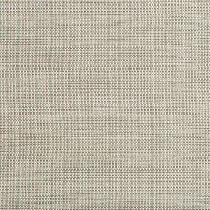 34627.11 by Kravet Smart Designer Fabric Crypton Home Polyester 58%, Cotton 22%, Rayon 20% USA Heavy Horizontal: see sample and Vertical: see sample 55 inches - Swanky Fabrics -