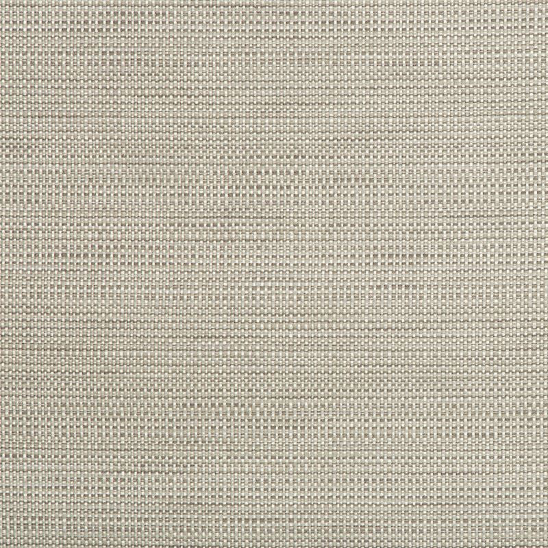 34627.11 by Kravet Smart Designer Fabric Crypton Home Polyester 58%, Cotton 22%, Rayon 20% USA Heavy Horizontal: see sample and Vertical: see sample 55 inches - Swanky Fabrics -