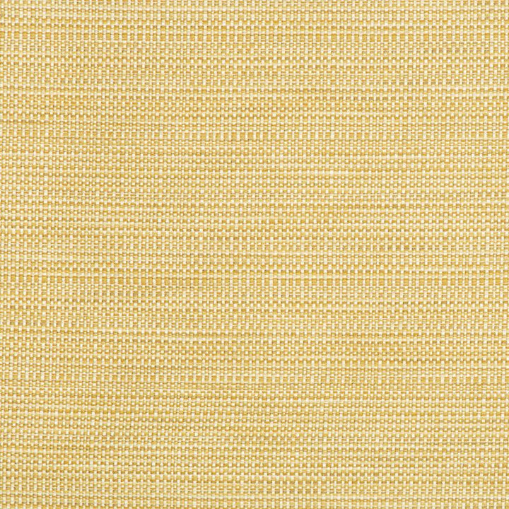 34627.416 by Kravet Smart Designer Fabric in our sample Polyester 58%, Cotton 22%, Rayon 20% USA Heavy Horizontal: See Sample and Vertical: See Sample 55 inches - Swanky Fabrics -