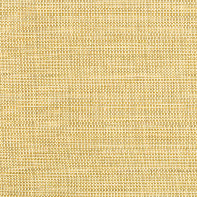 34627.416 by Kravet Smart Designer Fabric in our sample Polyester 58%, Cotton 22%, Rayon 20% USA Heavy Horizontal: See Sample and Vertical: See Sample 55 inches - Swanky Fabrics -