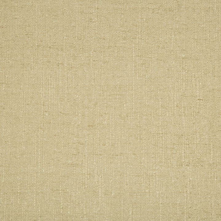 34636.16 by Kravet Contract Designer Fabric in our sample Rayon 79%, Polyester 21% USA Heavy Horizontal: See Sample and Vertical: See Sample 58 inches - Swanky Fabrics -