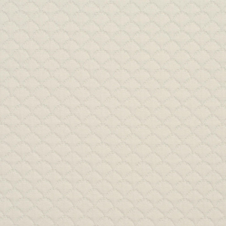 3464 Shell by Charlotte Designer Fabric Naturally Naturals III 69% Cotton, 31% Polyester Asia Exceeds 60,000 Wyzenbeek Rubs (Heavy Duty) Horizontal: 3.25" x Vertical: 3.25" 54 Inches - Swanky Fabrics -