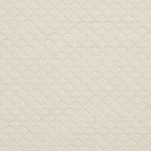 3464 Shell by Charlotte Designer Fabric