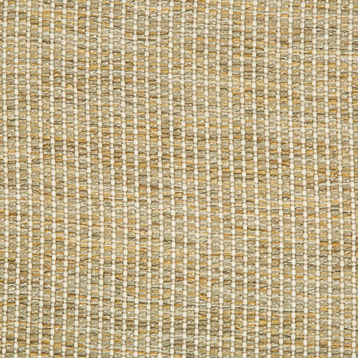 34665.411 by Kravet Design Designer Fabric Gis Rayon 85%, Cotton 14%, Nylon 1% USA Heavy Horizontal: see sample and Vertical: see sample 55.5 inches - Swanky Fabrics -