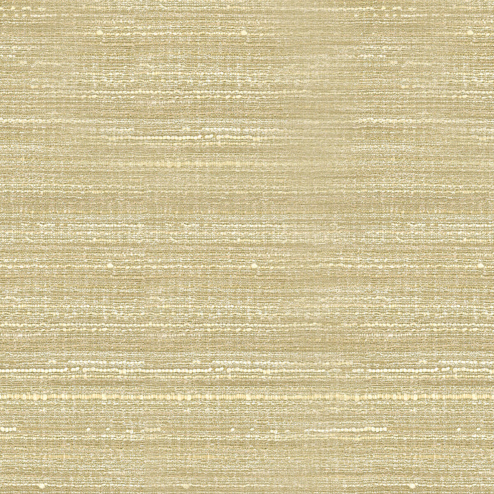 34672-116 by Kravet Basics Designer Fabric POLYESTER - 75%;VISCOSE - 25% India HEAVY Horizontal: and Vertical: 54 - Swanky Fabrics -
