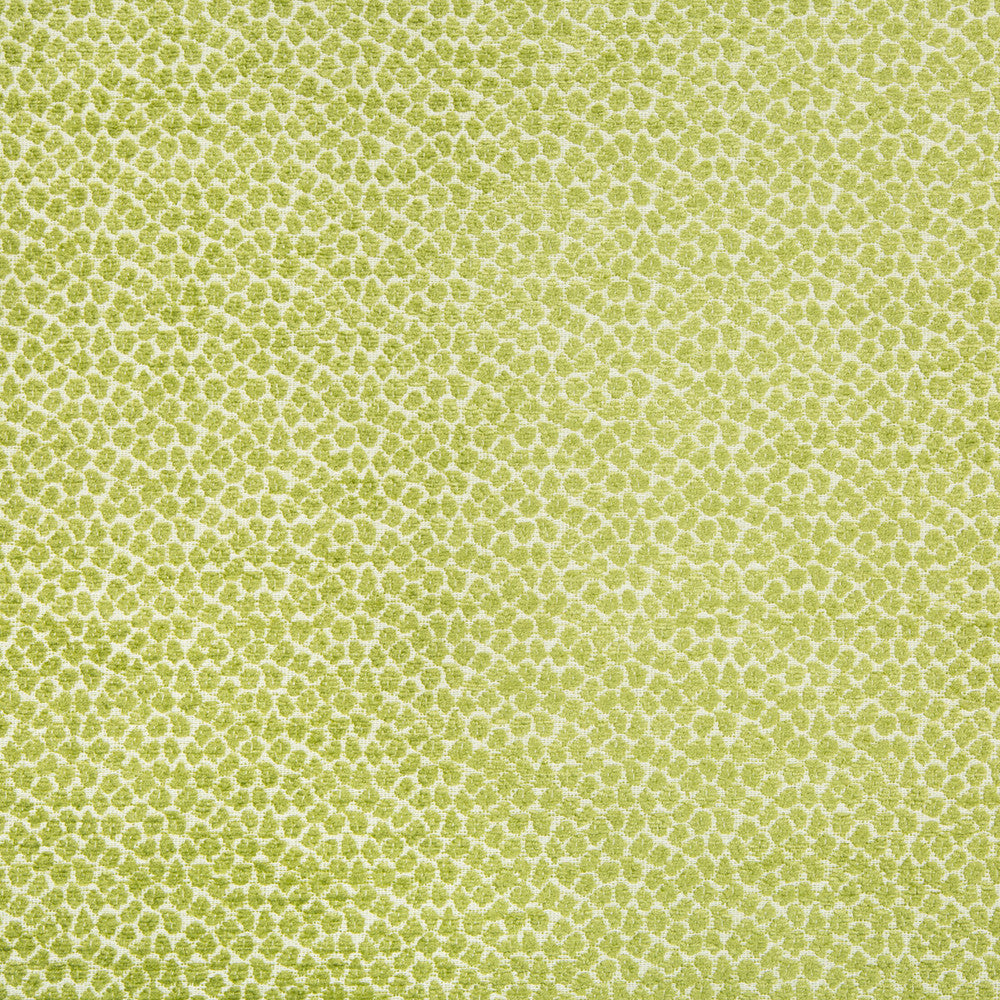 Kravet Design 34682-3 by Kravet Design Fabric Kravet Design Fabric Kravet Design 34682-3Fabric CRYPTON HOME RAYON - 56%;COTTON - 26%;POLYESTER - 18% United States </p><p>Repeat: H: 4.5, V: 1.25 55.5 - Fabric Carolina -
