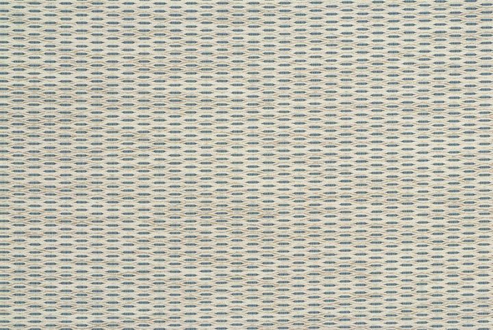 34698.15 by Kravet Design Designer Fabric in our sample Cotton 75%, Rayon 14%, Polyester 11% USA Heavy Horizontal: 1.25 inches and Vertical: See Sample 56.25 inches - Swanky Fabrics -