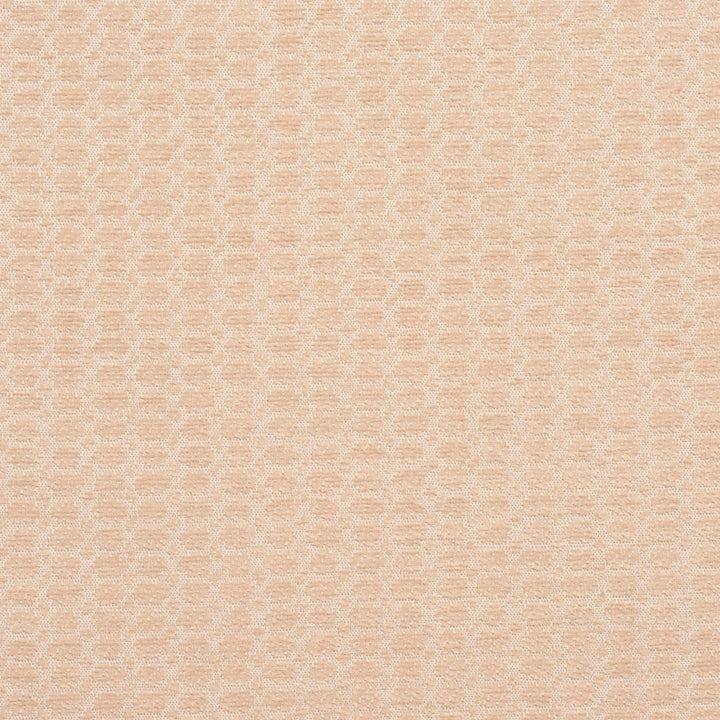 3472 Opal by Charlotte Designer Fabric Naturally Naturals III 100% Woven Polyester Asia Exceeds 60,000 Wyzenbeek Rubs (Heavy Duty) Horizontal: .5" x Vertical: .5" 54 Inches - Swanky Fabrics -