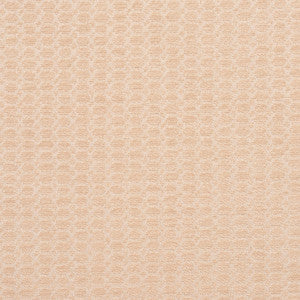 3472 Opal by Charlotte Designer Fabric