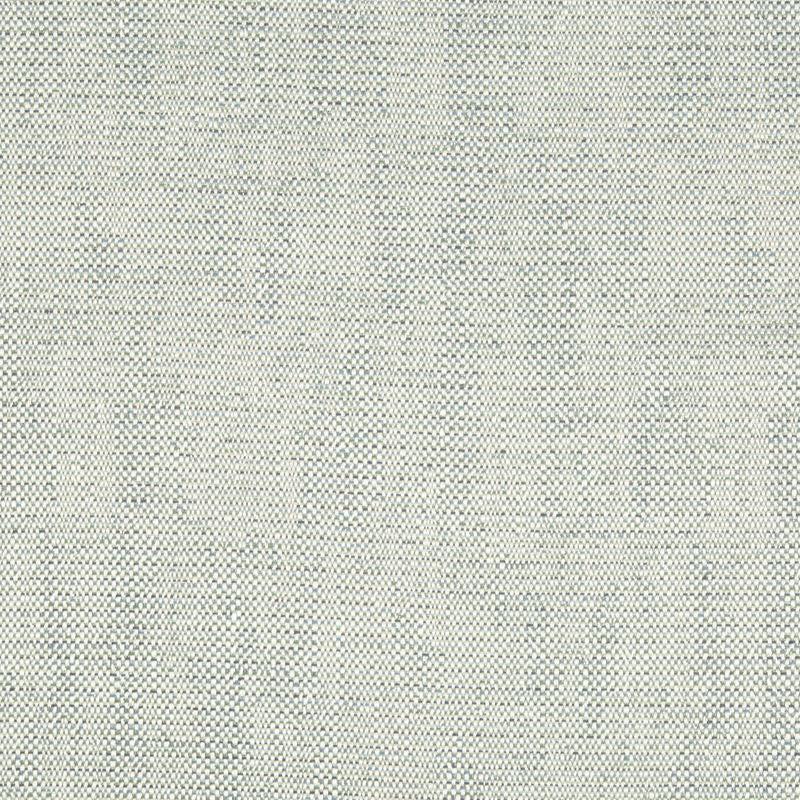 34768.5 by Kravet Contract Designer Fabric Gis Rayon 78%, Cotton 21%, Nylon 1% USA Heavy Horizontal: see sample and Vertical: see sample 58 inches - Swanky Fabrics -