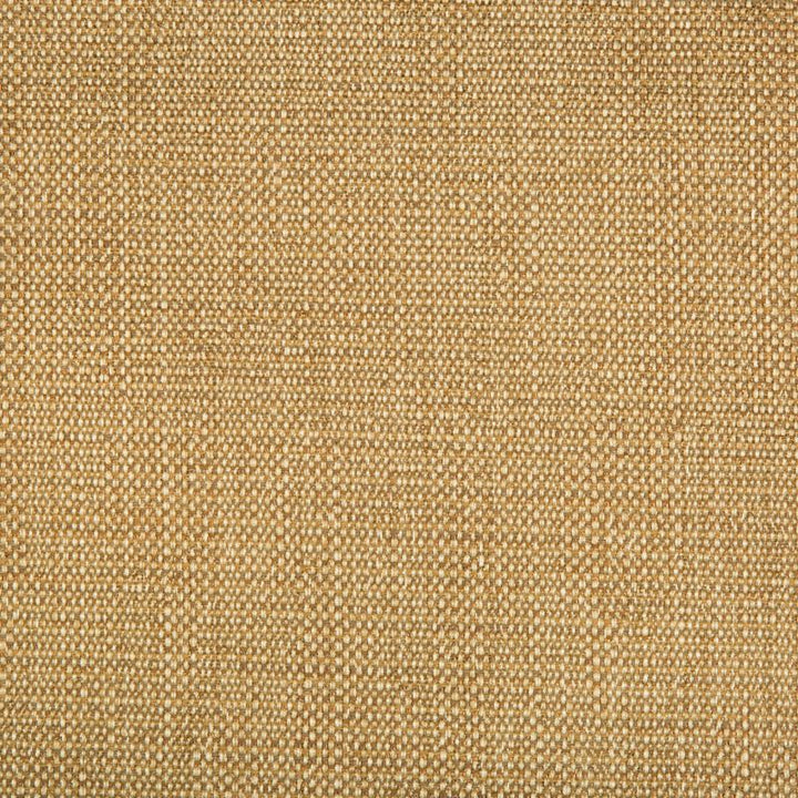 34774.616 by Kravet Design Designer Fabric in our sample Rayon 78%, Cotton 21%, Nylon 1% USA Heavy Horizontal: See Sample and Vertical: See Sample 58 inches - Swanky Fabrics -