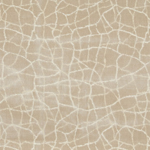 Formation Champagne by Kravet Couture Designer Fabric