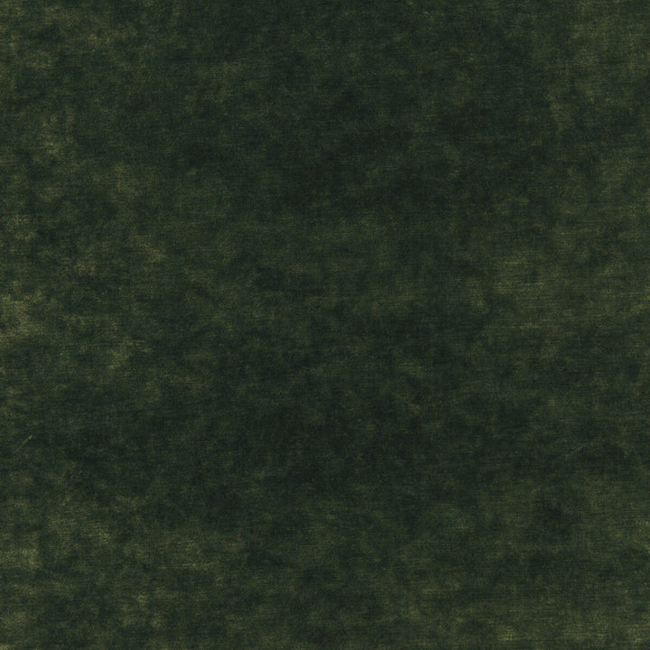 Queen'S Velvet Emerald by Kravet Couture Designer Fabric ARTISAN VELVETS VISCOSE - 69%;COTTON - 19%;POLYESTER - 12% Italy HEAVY Horizontal: and Vertical: 55.16 - Swanky Fabrics -