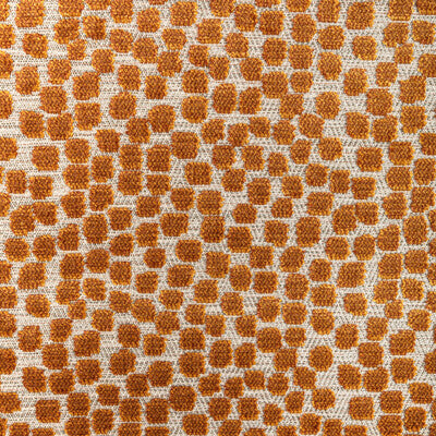 34849.24.0 by Kravet Fabric Kravet Fabric 34849.24.0Fabric THOM FILICIA COLLECTION POLYESTER - 50%;VISCOSE - 50% India </p><p>Repeat: H: 7, V: 5.25 54 - Fabric Carolina -