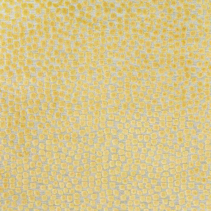 Flurries Citrine by Kravet Design Designer Fabric THOM FILICIA ALTITUDE POLYESTER - 50%;VISCOSE - 50% India HEAVY Horizontal: 7 and Vertical: 5.25 54 - Swanky Fabrics -