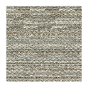 Helm Pebble by Kravet Design Designer Fabric